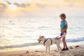 Child and dog playing on tropical beach Royalty Free Stock Photo