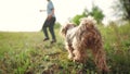 child and dog run in the park. happy family pet kid dream concept. dog and child legs close-up run in nature on the Royalty Free Stock Photo