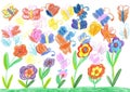 Child drawing butterfly and flowers nature