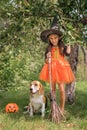A child dressed up as a witch with his faithful dog friend on Halloween eve Royalty Free Stock Photo