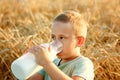 A child drinks milk from a glass bottle against the background of wheat ears at sunset. A boy on a picnic in a rye field. Children Royalty Free Stock Photo