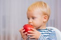 Child eat apple. Kid cute boy sit at table with plate and food. Healthy food. Boy cute baby eating breakfast. Baby Royalty Free Stock Photo