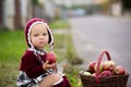 Child eating apples in a village in autumn. Little baby boy play