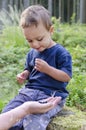 Child eating blueberries in forest