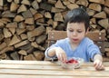 Child eating strawberries Royalty Free Stock Photo