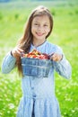 Child eating strawberries in a field Royalty Free Stock Photo