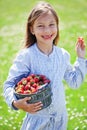 Child eating strawberries in a field Royalty Free Stock Photo