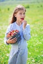 Child eating strawberries in a field Royalty Free Stock Photo