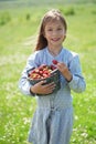 Child eating strawberries in a field Royalty Free Stock Photo