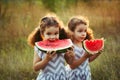 Children eating watermelon in the park. Kids eat fruit outdoors. Healthy snack for children. Little twins playing on the picnic bi Royalty Free Stock Photo