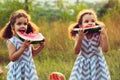 Children eating watermelon in the park. Kids eat fruit outdoors. Healthy snack for children. Little twins playing on the picnic bi Royalty Free Stock Photo