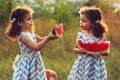 Children eating watermelon in the park. Kids eat fruit outdoors. Healthy snack for children. Little twins playing on the picnic bi Royalty Free Stock Photo