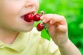 The child eats cherries. Healthy food. Fruits in the garden. Vitamins for children. Nature and harvest.