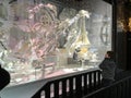 Child entranced by department store window decoration in Paris, France