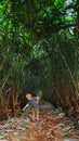 Child explore exotic snake fruit Salak growing on salak palms
