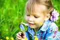 The child explores the grass in the meadow through a magnifying glass. Little girl exploring the flower through the magnifying