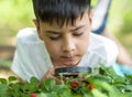 A child explores the plant world through a magnifier