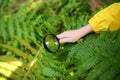 Child is exploring nature with magnifying glass. Little boy is looking on leaf of fern with magnifier. Summer vacation for