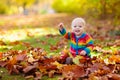 Child in fall park. Kid with autumn leaves Royalty Free Stock Photo