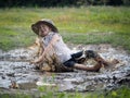 Child falls in a puddle Royalty Free Stock Photo