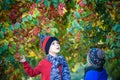 Child on a farm in autumn. Little boy and his brother friend playing in decorative apple tree orchard. Kids pick fruit. Toddler ea Royalty Free Stock Photo