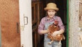 a little girl holds a red hen in a chicken coop. laying hen.
