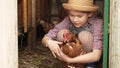 a little girl holds and strokes a red hen. laying hen.