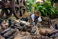 Child feeding birds Maui Plantation