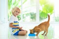 Child feeding home cat. Kids and pets Royalty Free Stock Photo