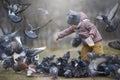 Child feeding a crowd of grey and two brown pigeons