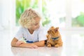 Child feeding home cat. Kids and pets Royalty Free Stock Photo