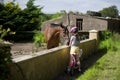 Child feeding a horse