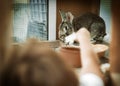 Child feeding rabbit sitting in hutch on farm. Closeup of child hand giving food to animal Royalty Free Stock Photo