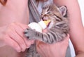 Child feeding small kitten from the bottle