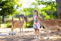 Child feeding wild deer at zoo. Kids feed animals.