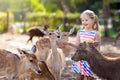 Child feeding wild deer at zoo. Kids feed animals