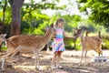 Child feeding wild deer at zoo. Kids feed animals