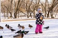 child feeds pigeons and ducks with bread in the park