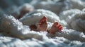 Child Feet Under White Blanket - AI Generated