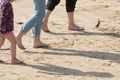 Child feet, woman feet and man feet barefoot walking on the sand beach Royalty Free Stock Photo