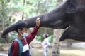 a child fills his vacation time by visiting the zoo, one of the animals in his collection is an elephant Royalty Free Stock Photo