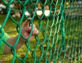 Child finger on fence