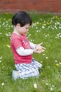 Child in flowers Royalty Free Stock Photo