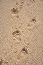 Child footprints on sand sea shore