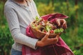 Child with fresh farm organic salad in wooden plate in summer garden