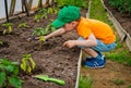 Child in the garden