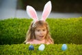 Child gathering eggs, easter egg hunt concept. Children celebrating easter. Excited kid in rabbit costume with bunny Royalty Free Stock Photo