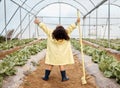 Child, girl or arms up in farming success, greenhouse harvest or agriculture land growth in sustainability field. Hands Royalty Free Stock Photo