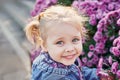 Child girl in autumn park near flower bed of chrysanthemums. Happy family on autumn walk. Walking in Park and enjoying beautiful Royalty Free Stock Photo