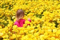 Child girl among the beautiful yellow flowers. Rear view.